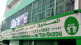 Tizi-Ouzou: 14 céréaliculteurs victimes d’incendies et de grêle indemnisés