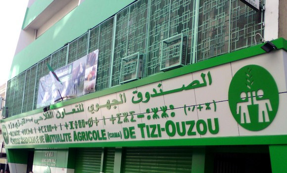 Tizi-Ouzou: 14 céréaliculteurs victimes d’incendies et de grêle indemnisés