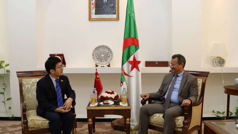الصين مهتمّة بمشاريع تطوير السكك الحديدية والموانئ في الجزائر