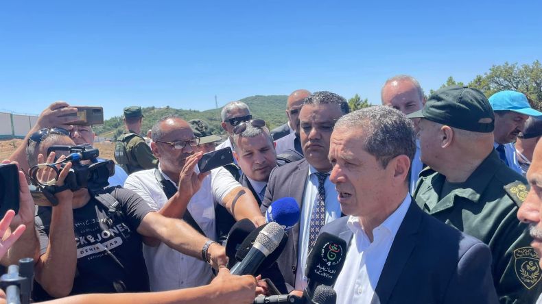 وزير الفلاحة: قائمة الفلاحين المتضررين من الحرائق جاهزة والأولوية للمؤّمنين (فيديو)