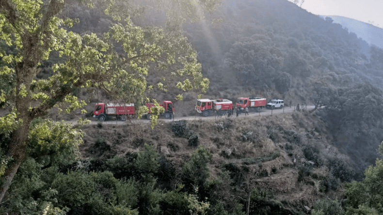 Les opérations d’extinction des incendies se poursuivent dans 5 wilayas