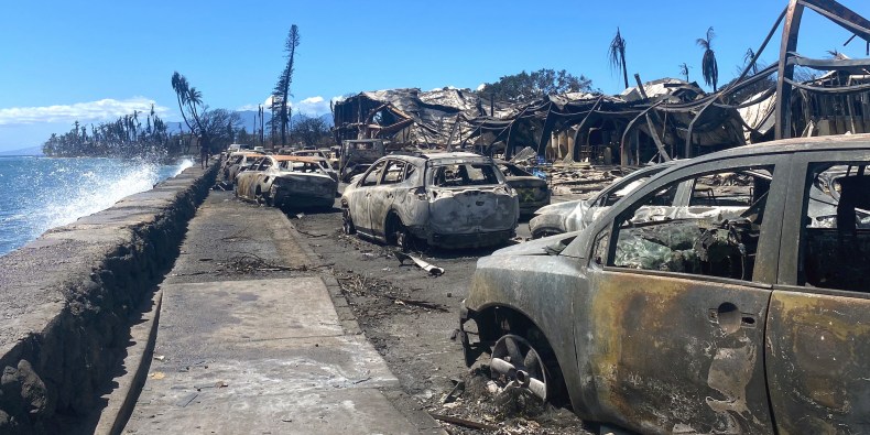 Le bilan humain des incendies à Hawaï pourrait doubler ou tripler