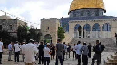 El-Qods occupée: Nouvelle incursion de colons sionistes dans la mosquée d’Al-Aqsa
