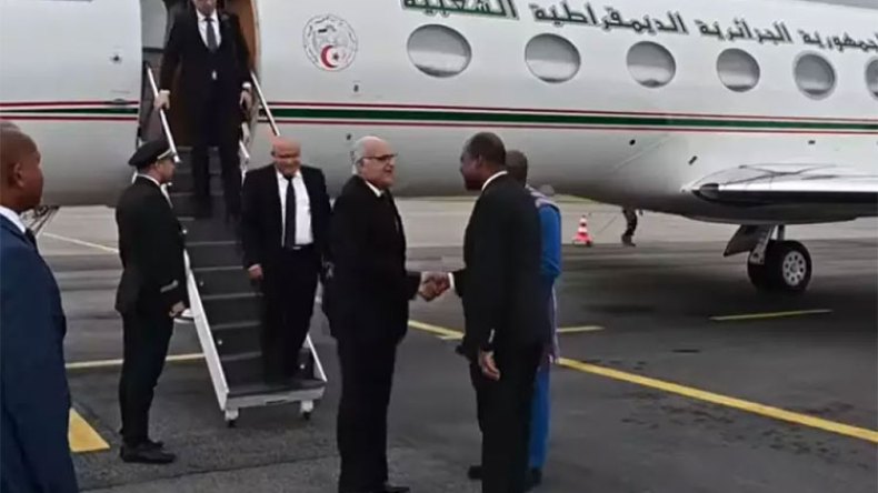 خبراء: الوساطة الجزائرية تقدّم حلا سلميا في النيجر
