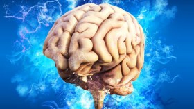 هذا ما استخرجه أطباء من دماغ امرأة أسترالية