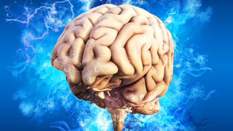 هذا ما استخرجه أطباء من دماغ امرأة أسترالية