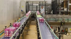 Zitouni: Le sucre largement disponible à travers tous les marchés