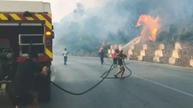 Bejaia: 11 départs de feux de forêt en 24 heures, dont 8 complètement éteints