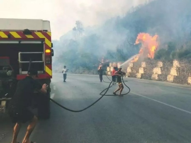Bejaia: 11 départs de feux de forêt en 24 heures, dont 8 complètement éteints