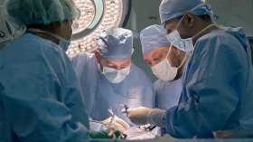 لهذه الأسباب تعثر زرع الكلى من الموتى دماغيا