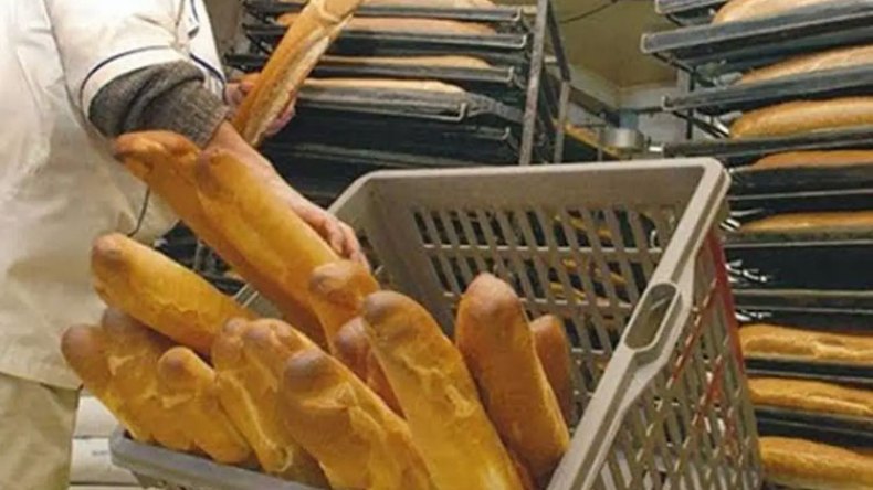 تحذيرات من استخدام مخابز لمواد غير صحية