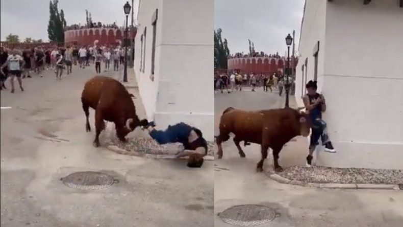 بالفيديو.. امرأة تتعرض لهجوم ثور هائج وهي منشغلة بهاتفها!