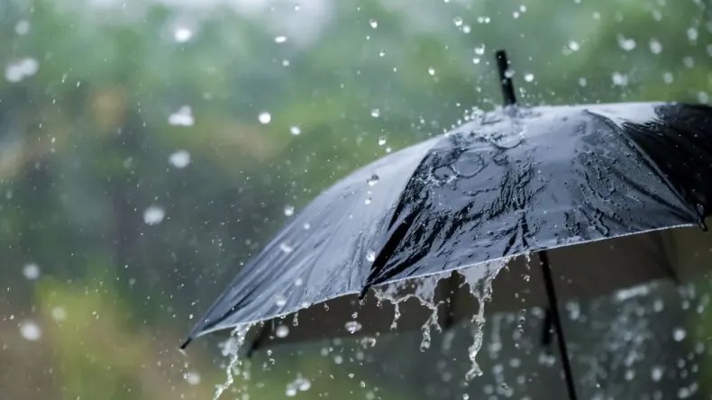 Météo: des pluies orageuses sur 13 wilayas du pays