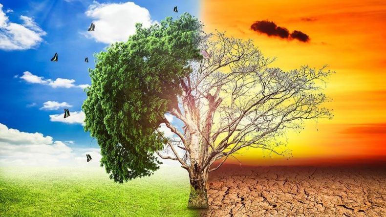 3 ملايين دولار لإنجاز مخطط التكيف مع التغيرات المناخية