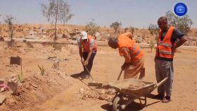 النعامة: شباب متطوع يبادر بتنظيف و تزيين و حراسة المقابر