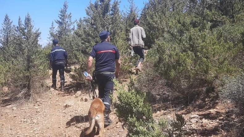 المدية: تواصل عملية البحث عن الطفل المفقود منذ الجمعة