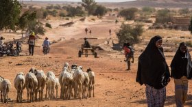 النيجر ذلك البلد الفقير بين سندان العقوبات ومطرقة التهديد بتدخل عسكري