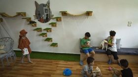 فلسطينية تفتتح مقهى قطط في غزة..ما القصة؟