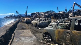 بالصور.. حرائق هاواي المرعبة تخلف عشرات القتلى