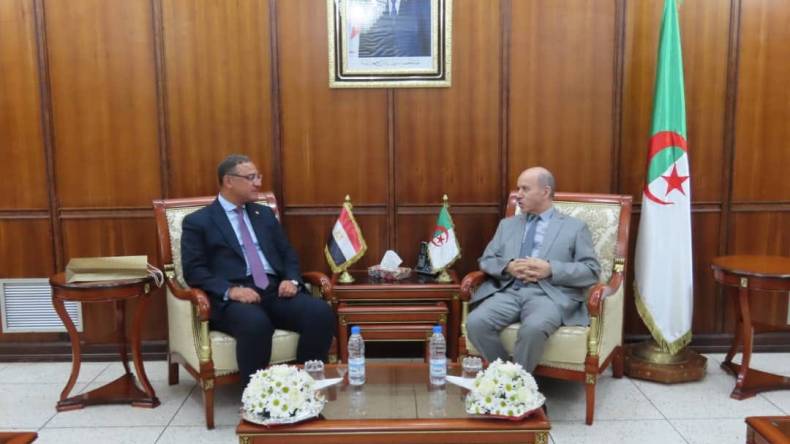 التعاون في المجال الصحي محور لقاء سايحي وسفير مصر