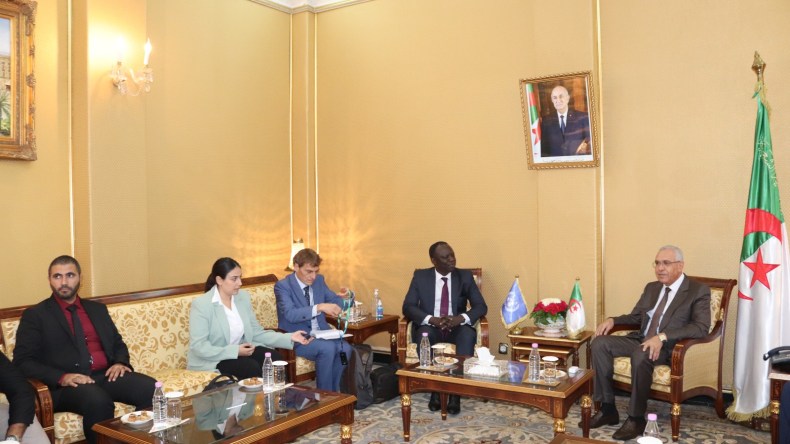 طبي يستعرض الإصلاحات الدستورية والتشريعية مع المقرر الخاص للأمم المتحدة