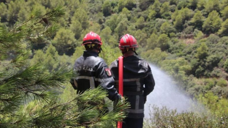 هذه الحالة العامة لحرائق الغابات إلى غاية الثلاثاء