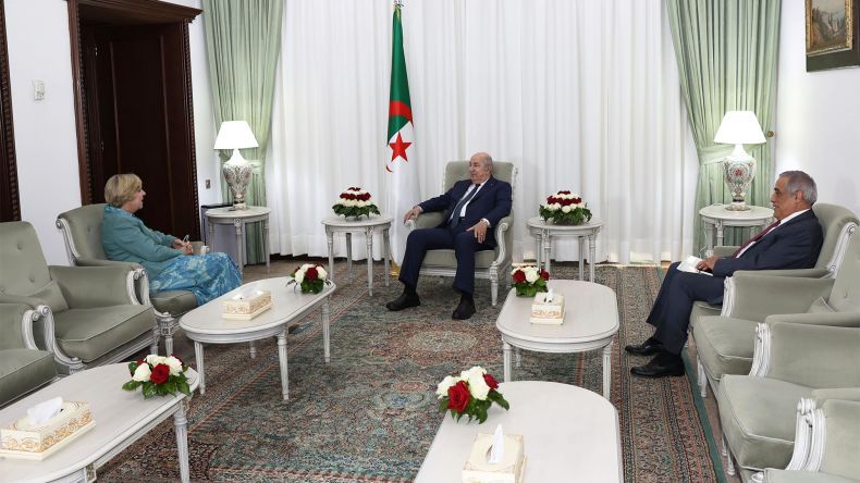 الرئيس تبون يستقبل سفيرة الولايات المتحدة الأمريكية (فيديو)