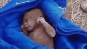 انتشال رضيعة حية بعد زلزال المغرب.. تقرير يكشف حقيقة الفيديو المتداول