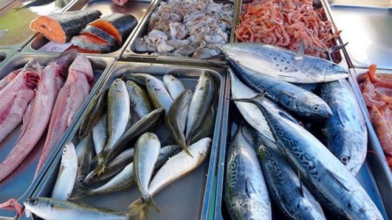 عملية تسويق “كبرى” للأسماك عبر الموانئ الأسبوع المقبل