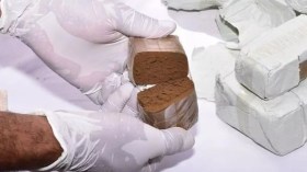 El-Oued: Saisie de 1,2 quintal de kif traité