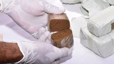 El-Oued: Saisie de 1,2 quintal de kif traité