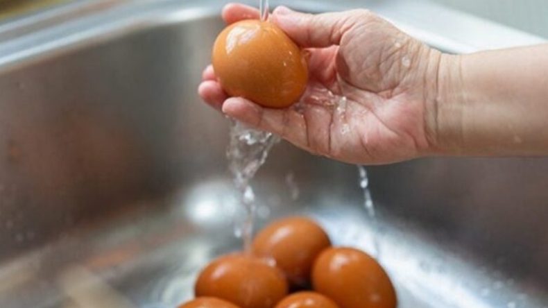 خبراء يحذرون من خطورة غسل البيض وهذا النوع من الأواني!