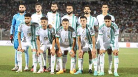 الخضر .. رحلة البحث عن الحلول