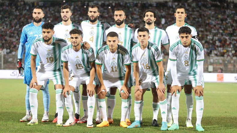 الخضر .. رحلة البحث عن الحلول