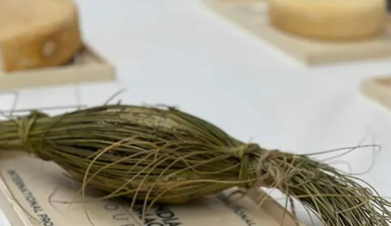 Tours Cheese World: Algerian Djben El-Kfas Wins Gold in France