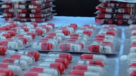 Deux individus arrêtés et une quantité considérable de drogue saisie à Alger