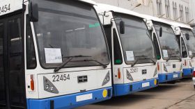 فتح 53 خط نقل حضري وشبه حضري جديد في العاصمة