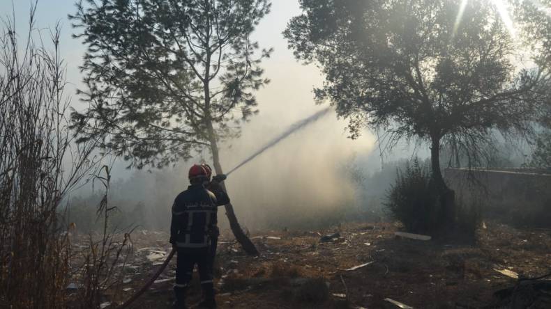 الحماية المدنية تسجل عديد التدخلات لإخماد الحرائق في 4 ولايات