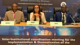 تحقيق التنمية في إفريقيا مرتبط بالحفاظ على السلم في القارة