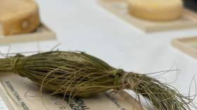 الجبن الجزائري يتوج بالذهب في مونديال الجبن بفرنسا