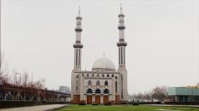 هل تجسست هولندا على المسلمين؟.. وزيرة سابقة تكشف