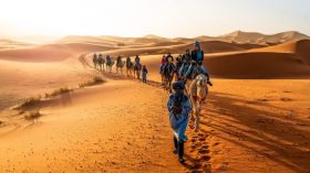 1,5 million de touristes étrangers ont visité l’Algérie