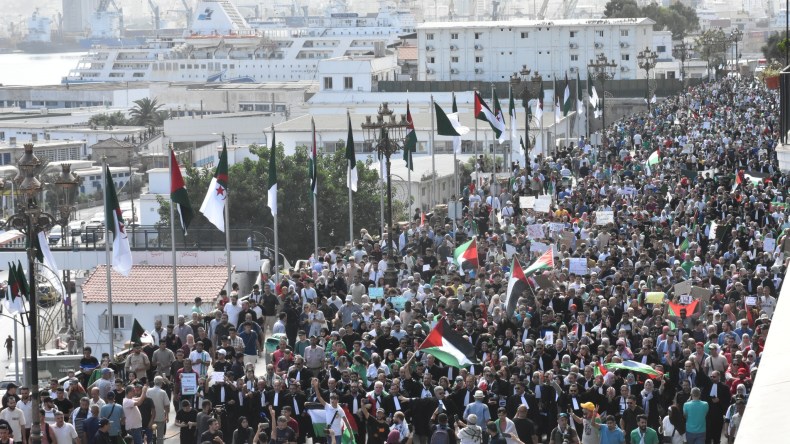 مسيرات شعبية حاشدة في مختلف الولايات تضامنا مع فلسطين (فيديو)