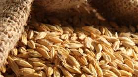 بيان من وزارة الفلاحة لفائدة المربين والموالين