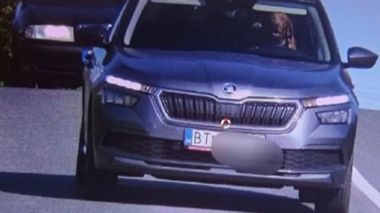 Un chien filmé en excès de vitesse au volant d’une voiture!
