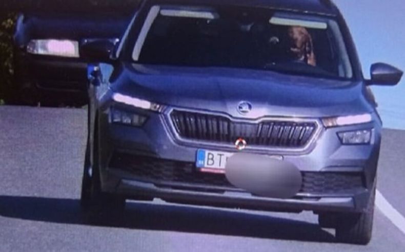 Un chien filmé en excès de vitesse au volant d’une voiture!