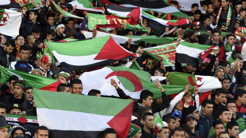 Algérie: toutes les compétitions footballistiques suspendues en solidarité avec le peuple palestinien