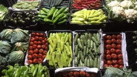 الحكومة تكشف عن حجم الإنتاج الفلاحي للجزائر