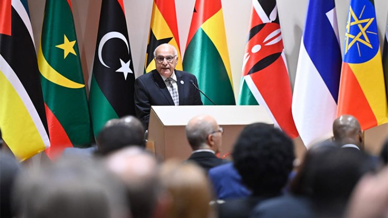 الجزائر تجمع دول إفريقيا وشمال أوروبا لترقية الشراكة