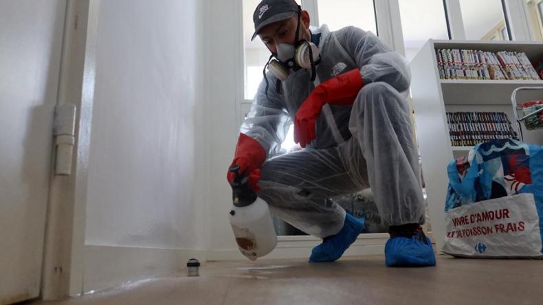 بالفيديو.. بقّ الفراش يتسبب في إغلاق سبع مدارس فرنسية!